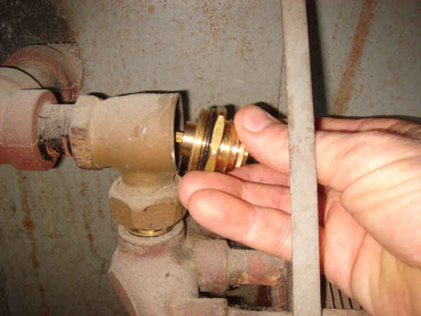 Thermostatic Insert